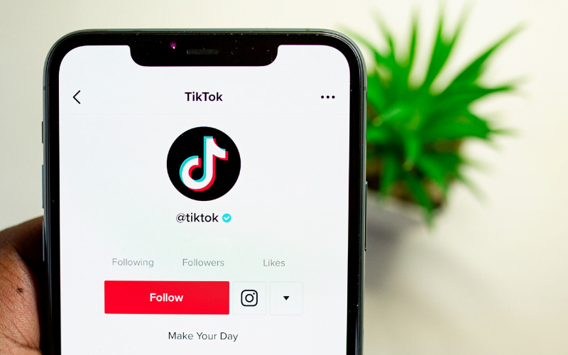 How to Make Money on TikTok Unleashing Your Earning Potential